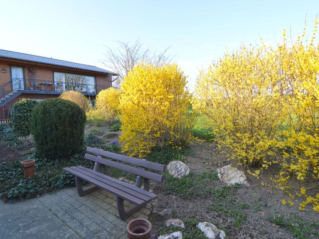 Apartment In M Rsdorf With Terrace (Adults Only) Morsdorf Kültér fotó
